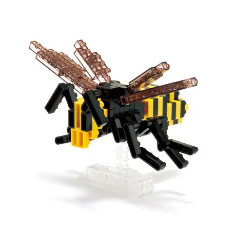 Asian Giant Hornet