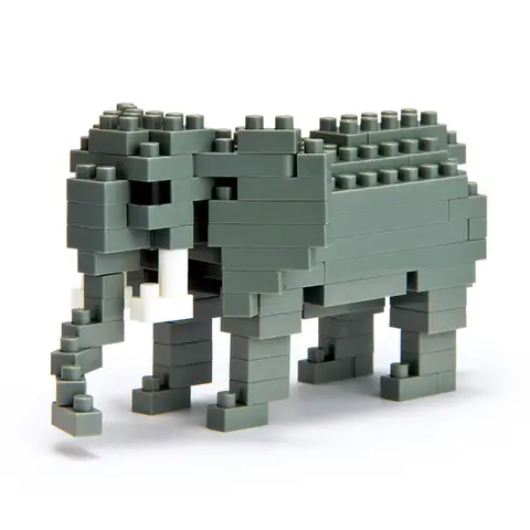 African Elephant