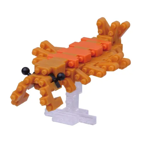 Anomalocaris