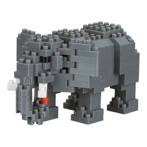 African Elephant