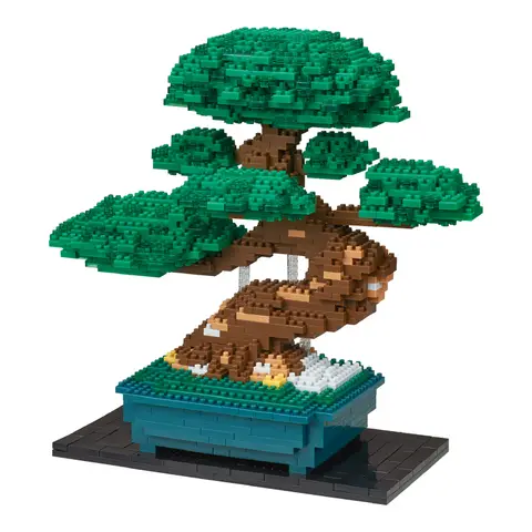Bonsai Pine