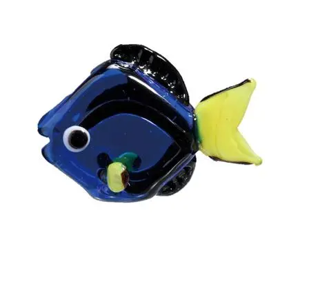 Blue Tang
